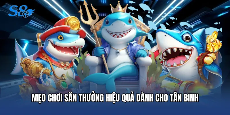 Mẹo chơi săn thưởng hiệu quả dành cho tân binh